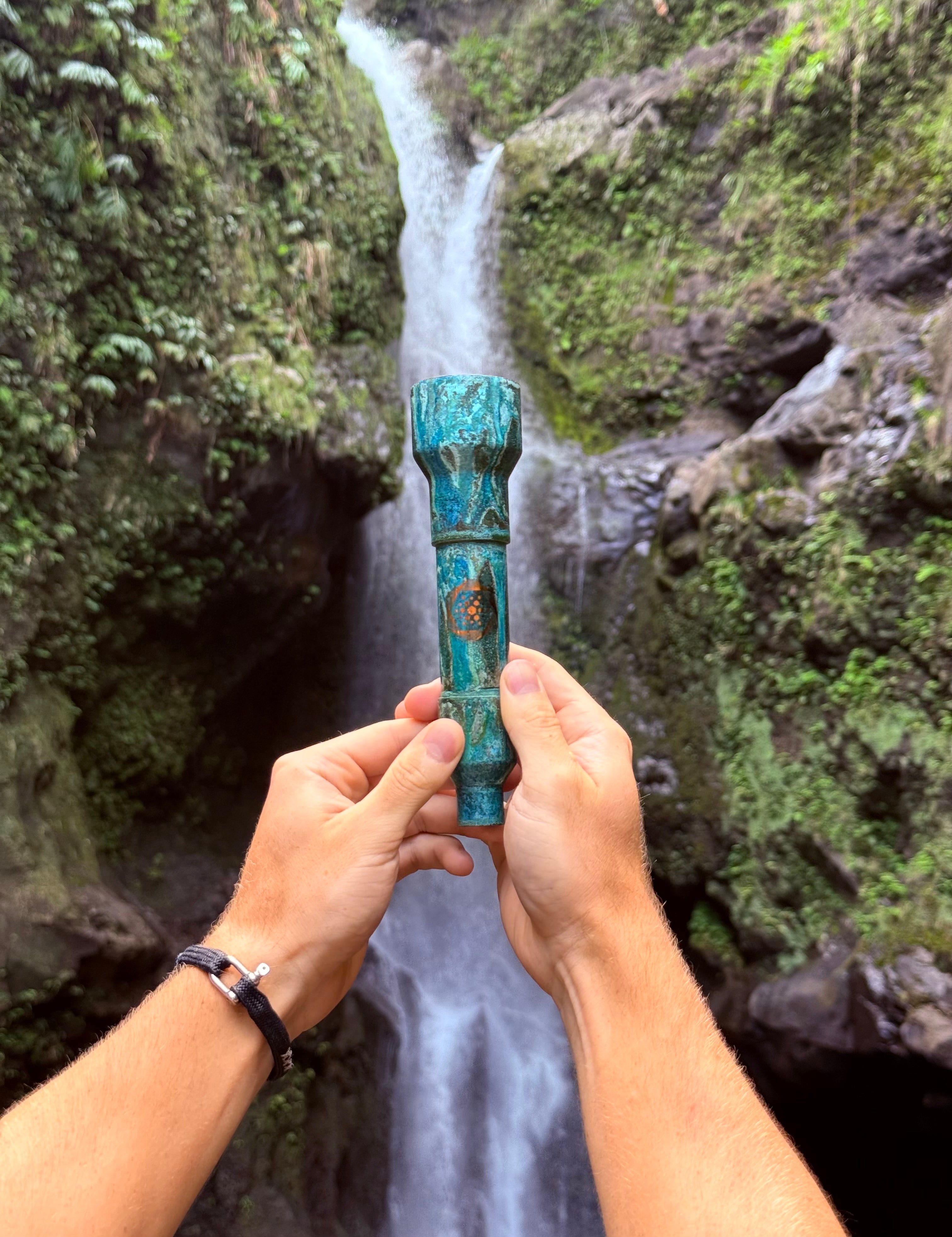 The Wellness Enterprise